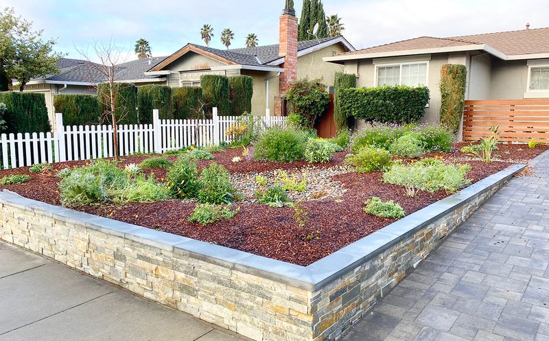 East Bay Municipal Utility District Lawn Conversion Rebate