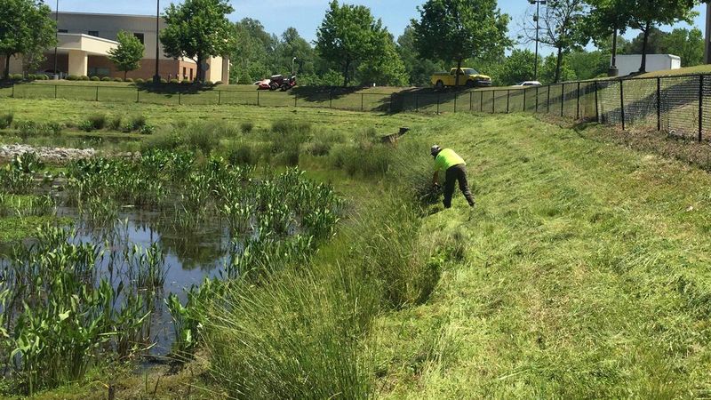 Easy Travel Routes From Ditches, Wetlands, and Drainage Swales