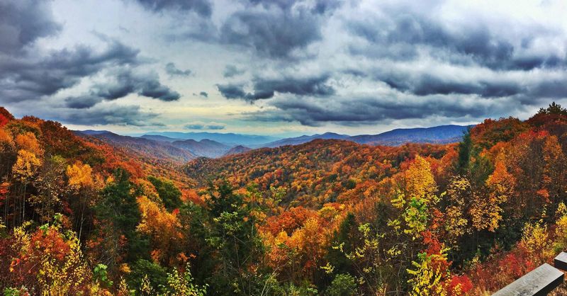 Elevation, rainfall and exposure create different fall-color calendars