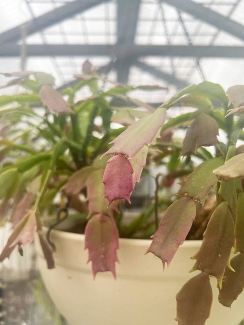 Escalate When Color Comes With Tissue Damage