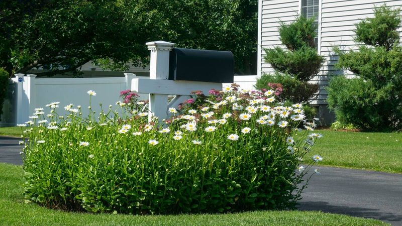 Establishment Care Makes the Lower-Maintenance Design Work Establishment Care Makes the Lower-Maintenance Design Work