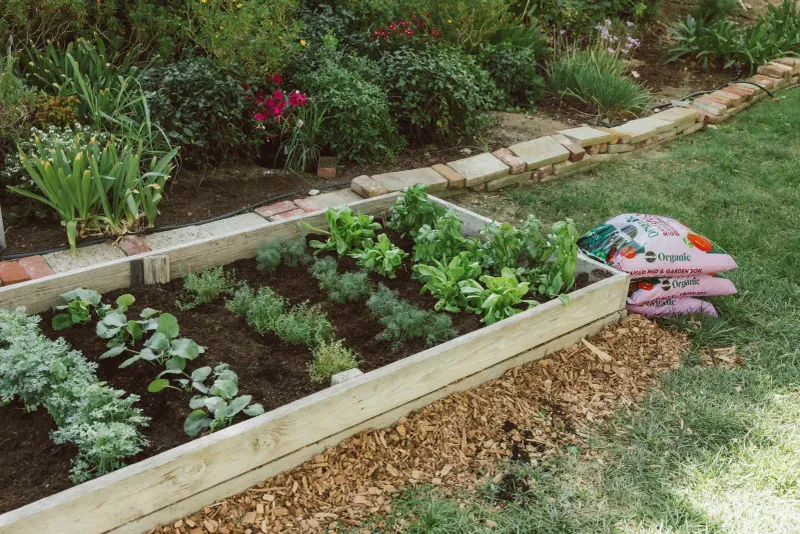 Evaluate drainage before you blame the soil