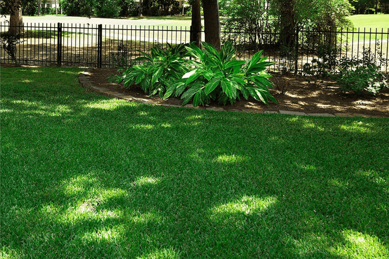 Evaluate the fence line’s light, moisture, and shade pattern