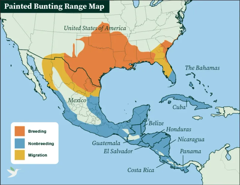 Expect different fall patterns across Florida
