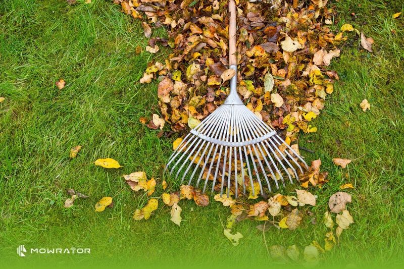 Fall care can support competitive turf Fall care can support competitive turf