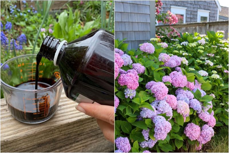 Fall fertilizer is not a proven bloom-killer Fall fertilizer is not a proven bloom-killer