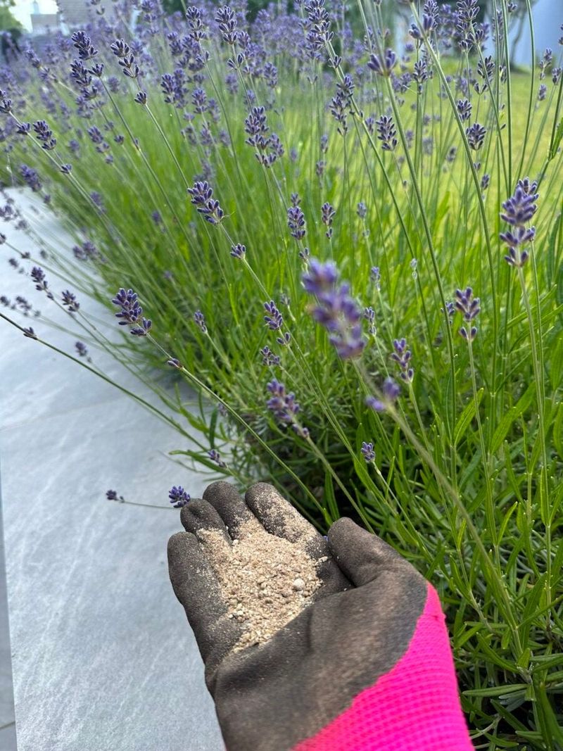 Feed before flower development only when the plant needs it Feed before flower development only when the plant needs it
