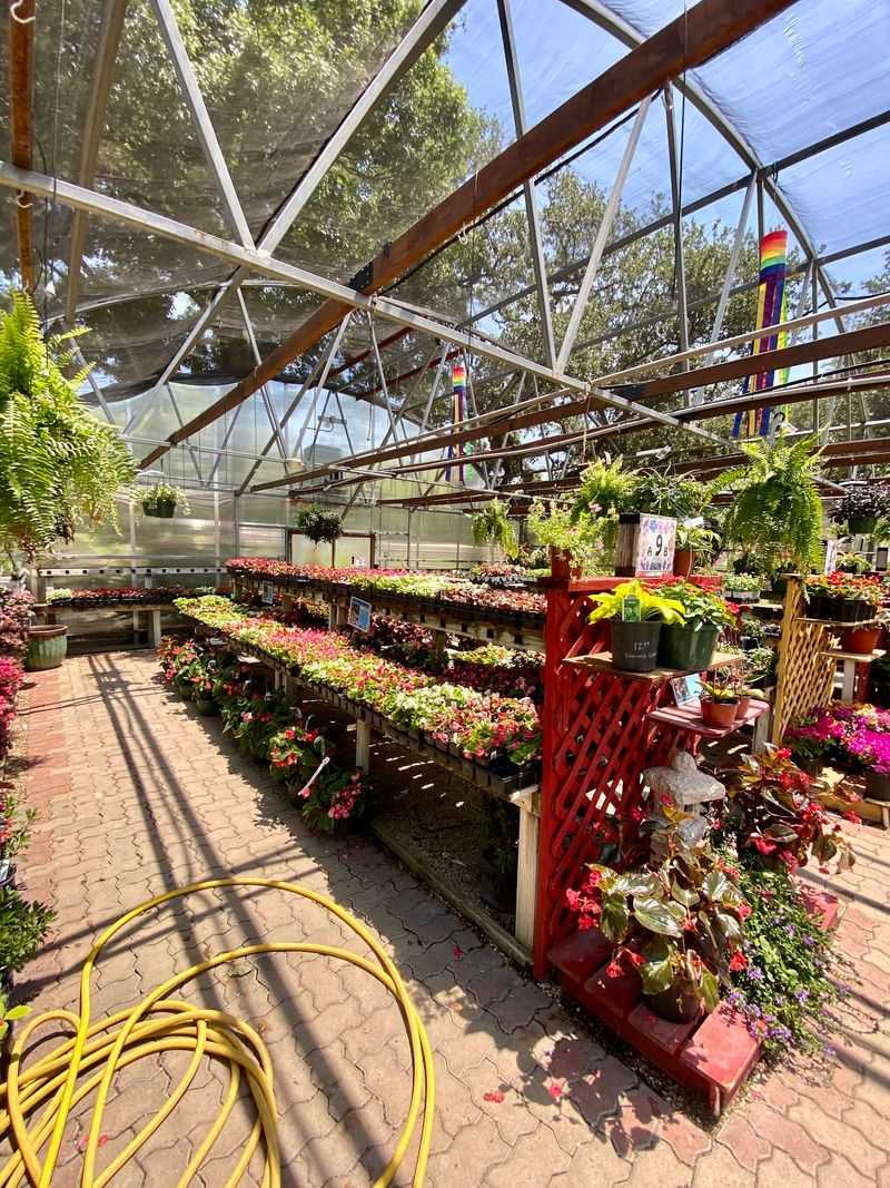 Fifty Years of Growing With San Antonio