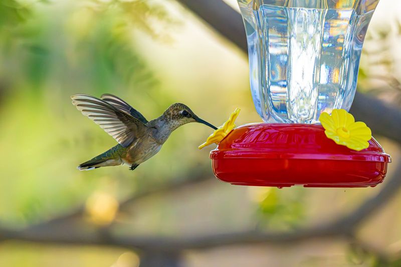 Filtered Water to Skip Heavy Minerals