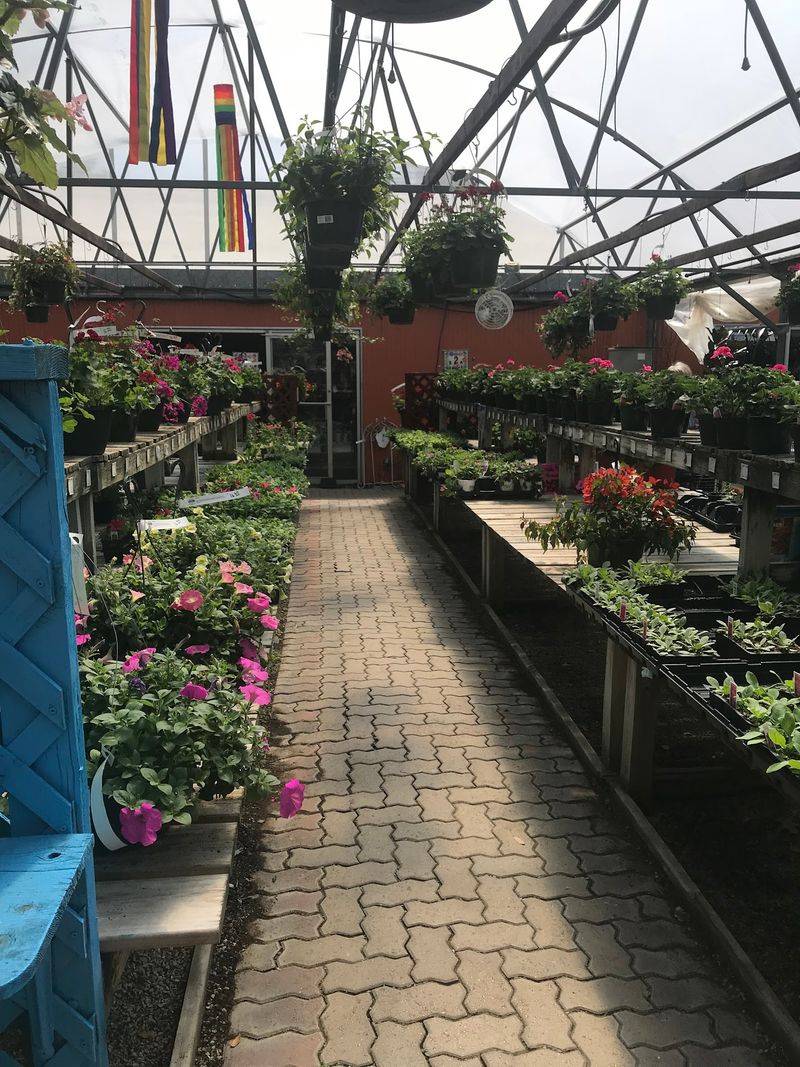 Finding Rainbow Gardens on Bandera Road