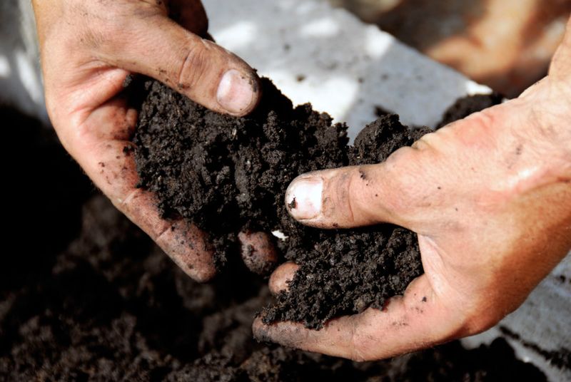 First, determine whether soil is actually the problem