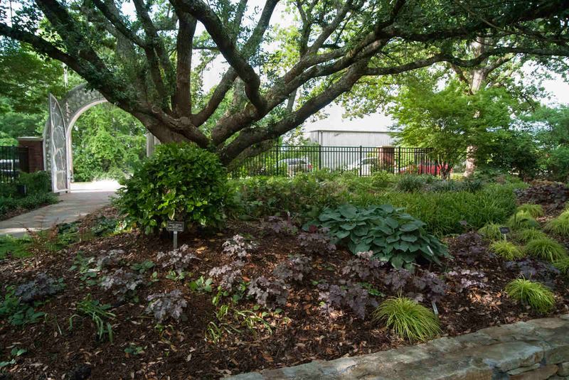Fix Your Soil's Shade and Moisture Problems Fix Your Soil's Shade and Moisture Problems