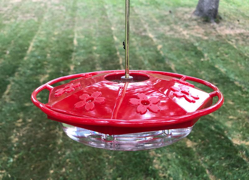 Fix the feeder before treating the insects