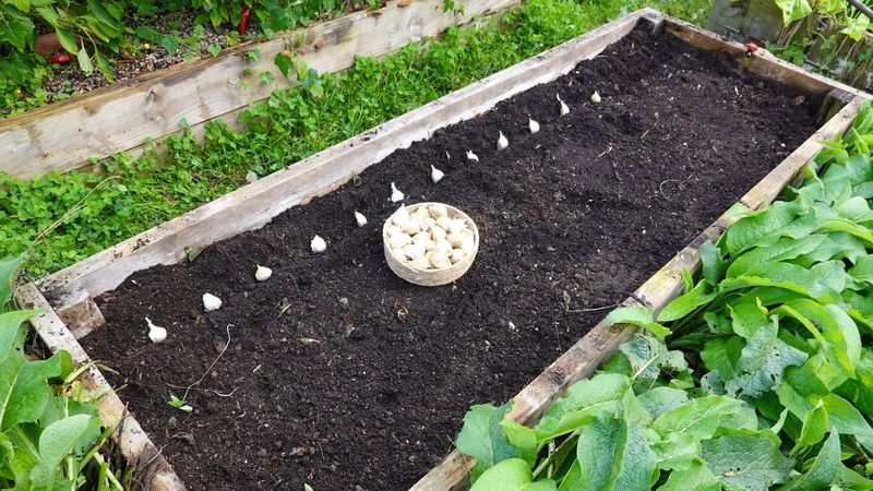 Fix trapped water before planting again