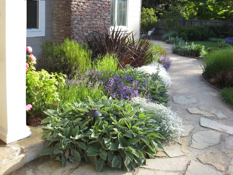 Flowering groundcovers instead of wall-to-wall mulch