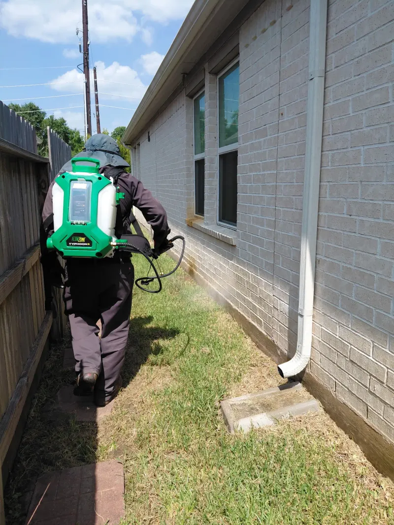 Follow IPM guidance instead of an automatic spray schedule