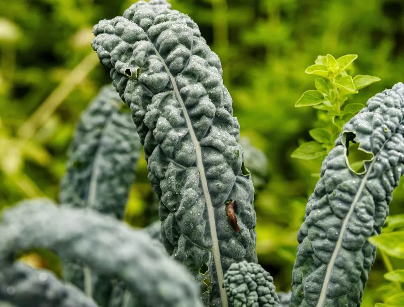 Follow a confirmation-first plan before the next feeding period