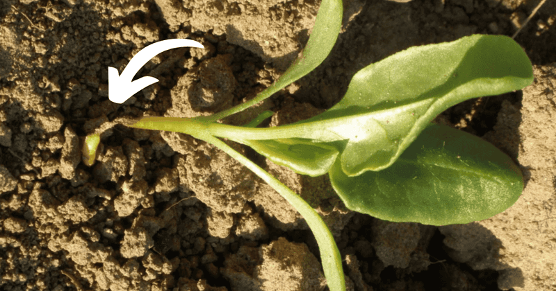 Follow a diagnosis-based recovery plan