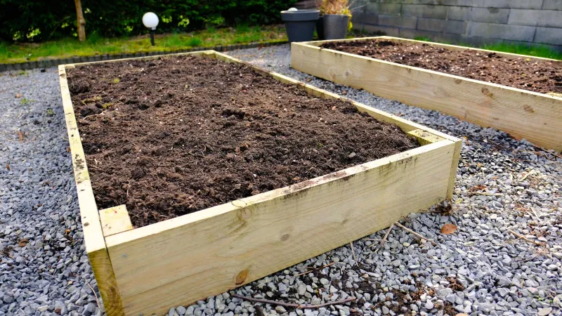 Follow a measured recovery sequence before replacing the bed