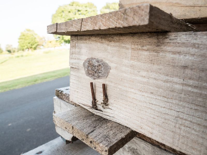 Follow one route around trees, structures, and outdoor belongings