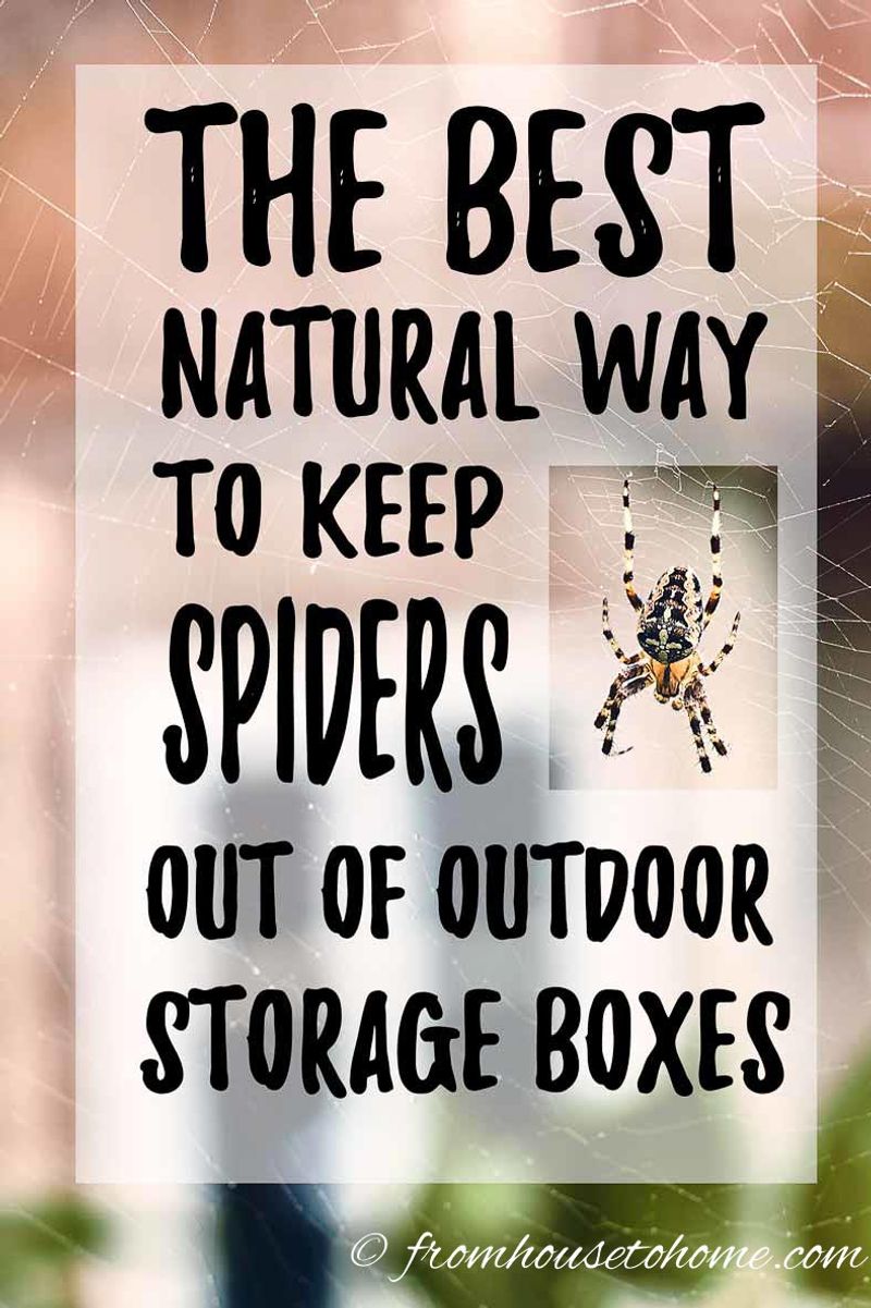Forgetting About Outdoor Storage Boxes, Toys, and Grill Areas
