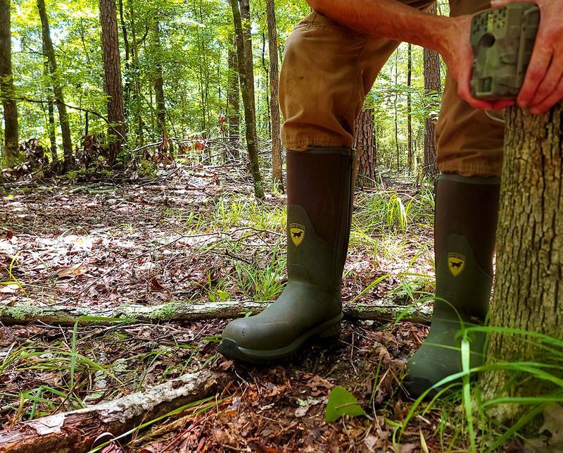 Give a visible snake space and use safer yard-work habits