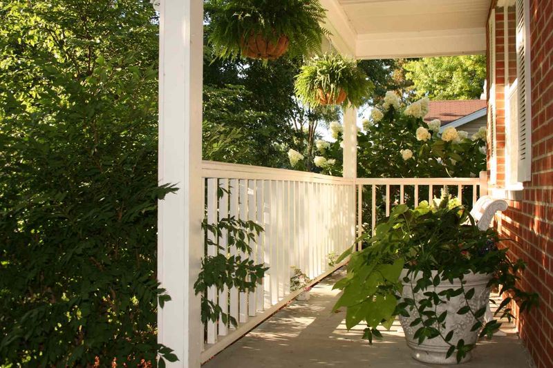 Give the foliage morning light and the pot afternoon protection