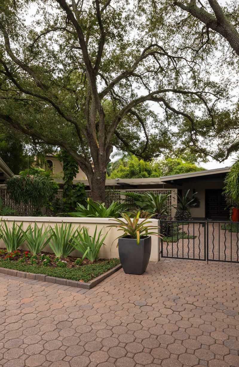 Give the oak room now, or choose a different tree