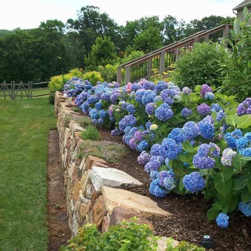 Give the plant light and moisture that support flowering