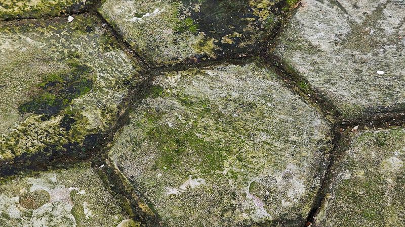 Green slime is a description, not a diagnosis