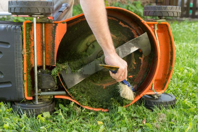 Handle diseased turf and equipment carefully Handle diseased turf and equipment carefully