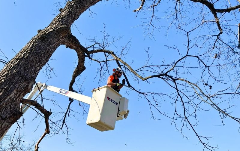 Handle urgent hazards even during the high-risk period