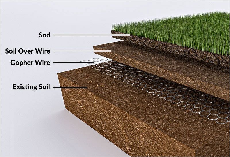 Hardware cloth is the barrier that reaches the roots
