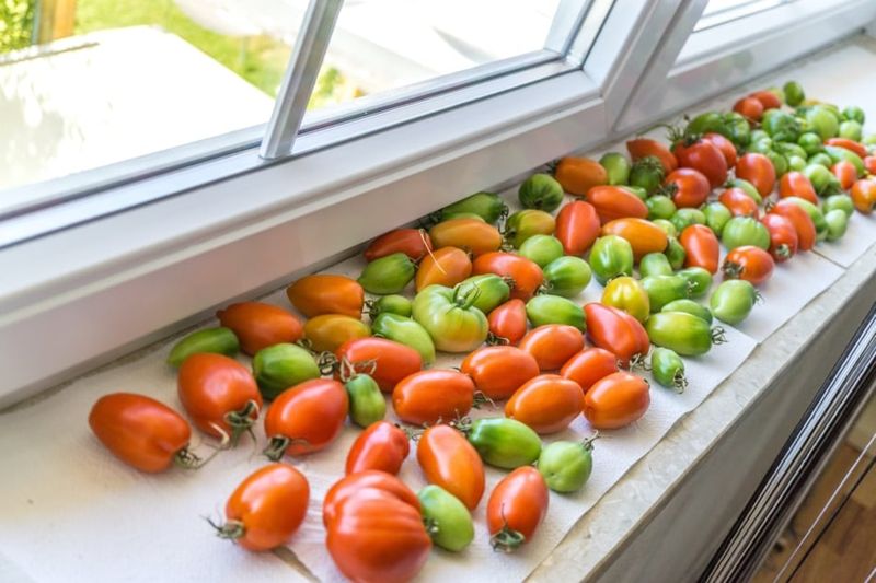 Harvest fruit that has reached a ripening stage Harvest fruit that has reached a ripening stage