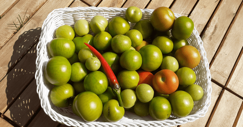 Harvest suitable fruit before frost