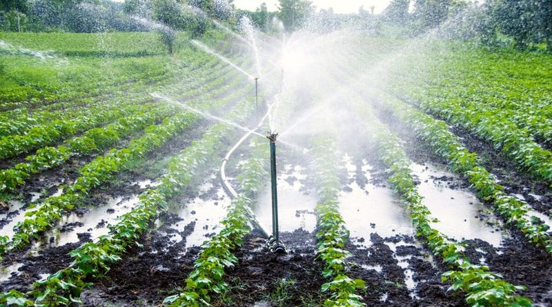 Heat and wind reduce exposed overhead sprinklers’ efficiency