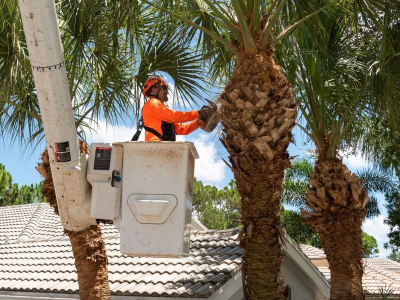 Height, power lines, and resistance require a professional