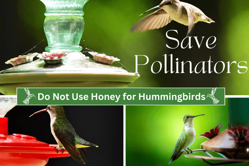 Honey-Based Nectar