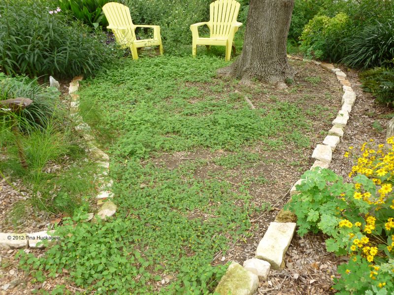 Horseherb Works Best as a Trial, Not a Promise