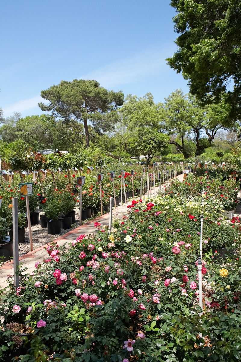 Hours, Prices, and Planning Your Visit