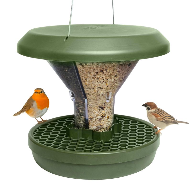 If you keep feeding birds, reduce the food spillover