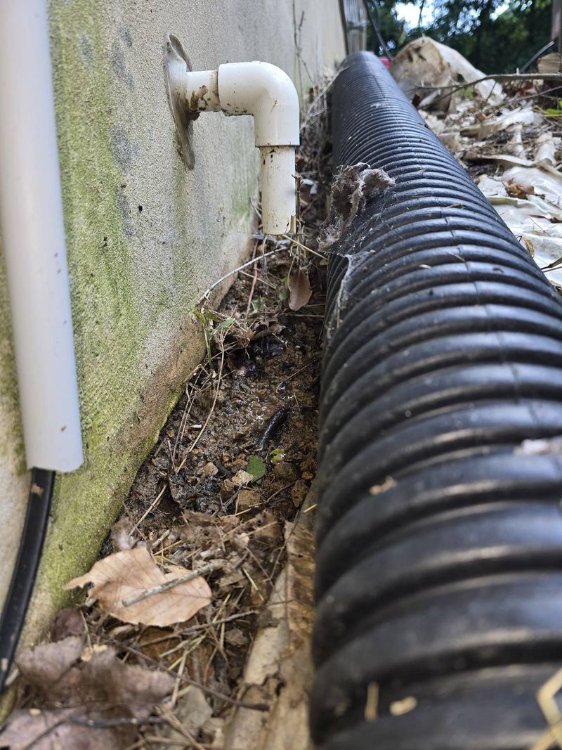 Ignoring Leaky Spigots, AC Drips, and Low Wet Spots