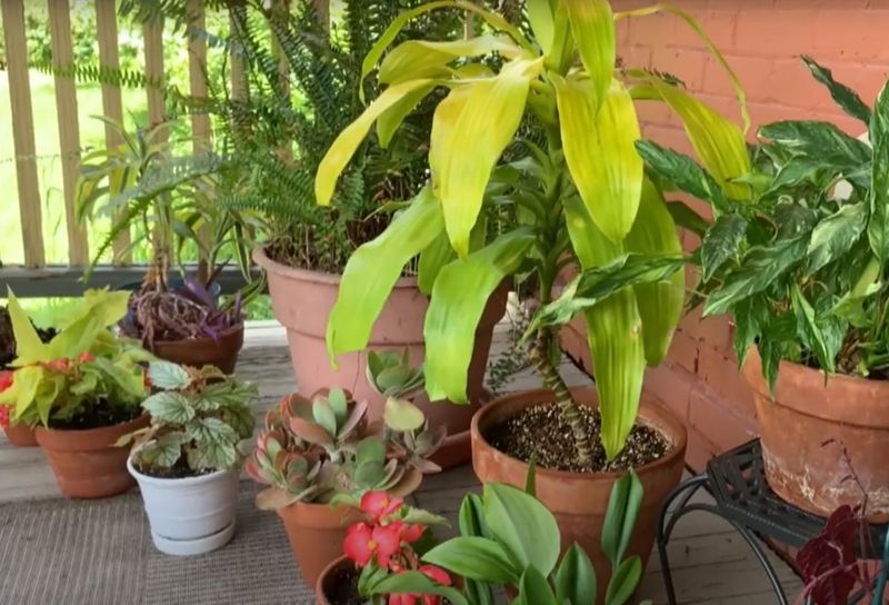 Indoor conditions matter more than the calendar in Florida and Texas