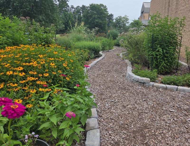Inspect What Changed in the Garden Inspect What Changed in the Garden