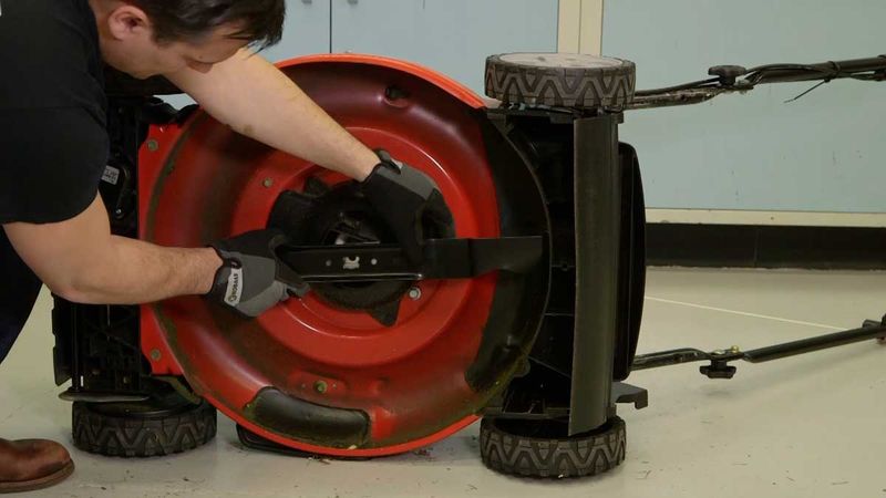 Inspect the blade safely