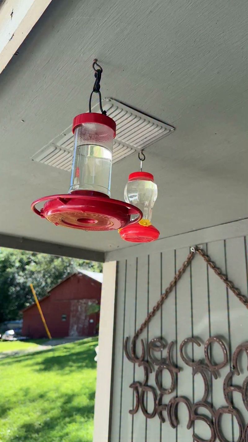 Inspect the feeder before assuming birds drank everything