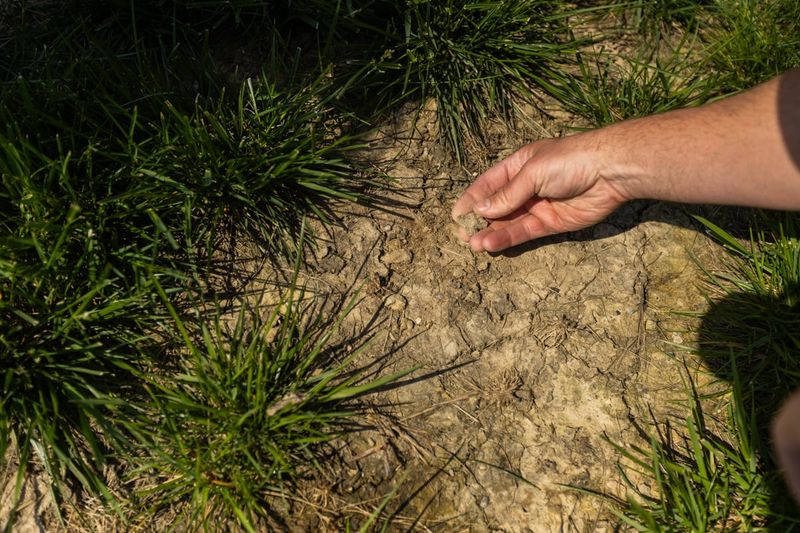 Inspect the site for other conditions that favor spread Inspect the site for other conditions that favor spread