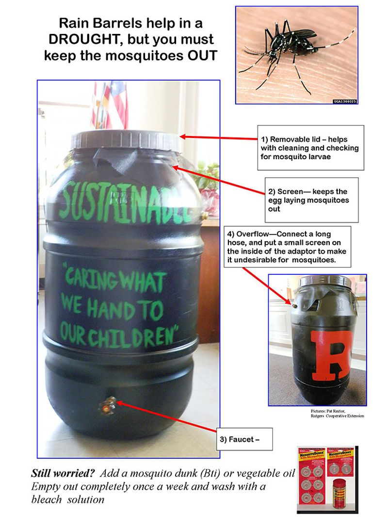 Install a secure, mosquito-resistant collection point