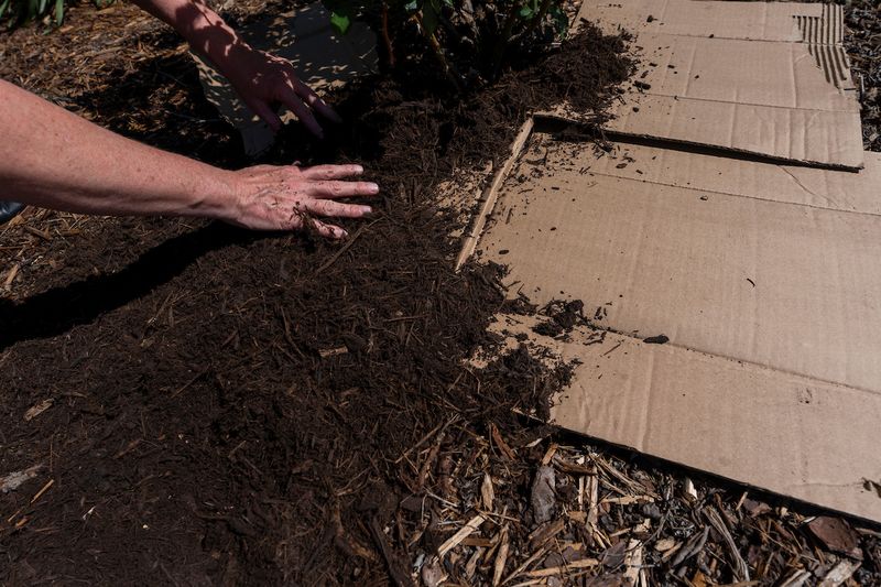 Install cardboard so seams, edges, and persistent weeds do not defeat it