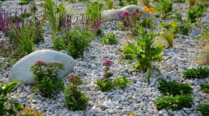 Install rock without burying the plant